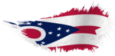 Ohio State Flag Icon